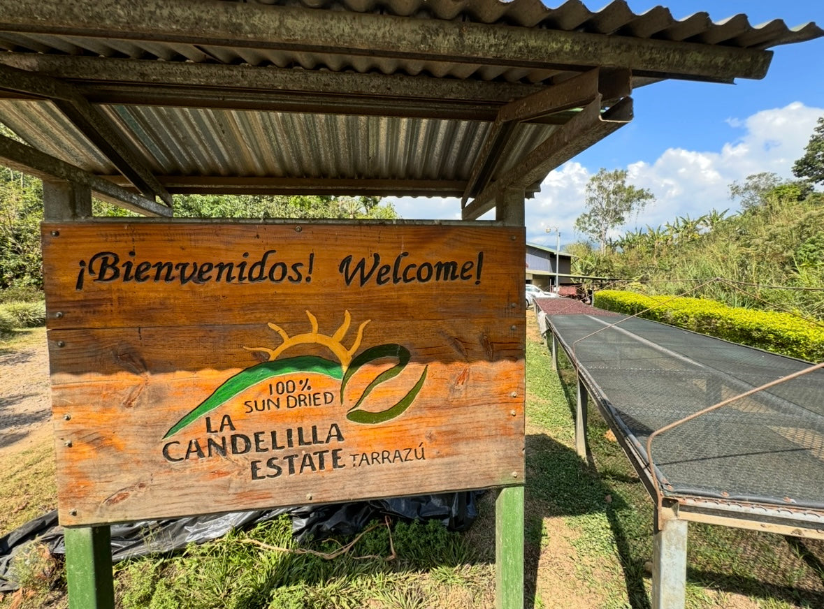 Costa Rica La Candelilla Estate Anaerobic Natural