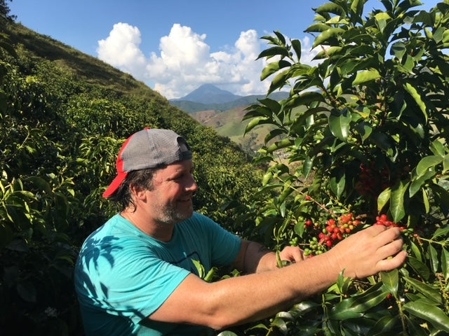 The V Foundation - All-Star Select - NEW Featured Coffee!