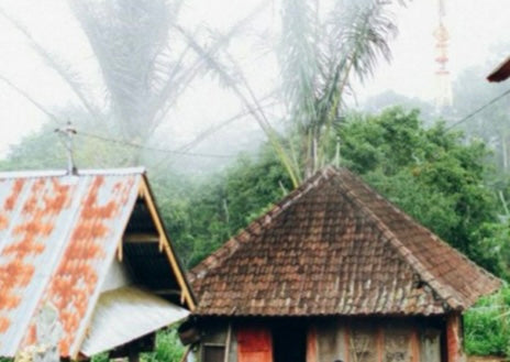 Bali Kintamani