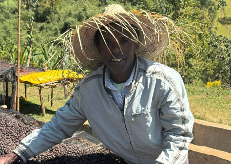 Ethiopia Shantawene Natural
