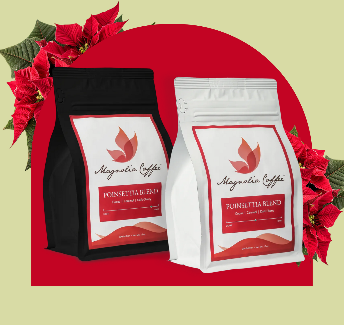 Poinsettia Blend 2 pack