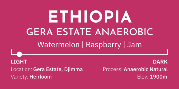 Ethiopia Gera Estate Anaerobic