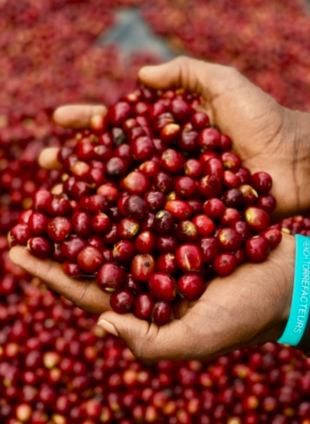 Ethiopia Durato Bombe