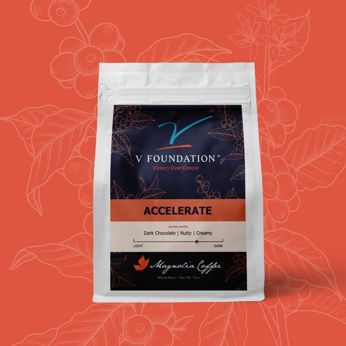 The V Foundation - Accelerate