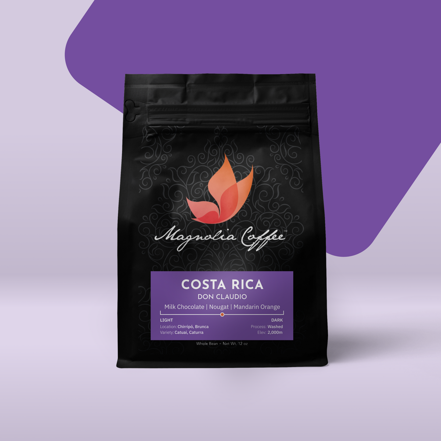 4 Pack Medium Roast HOLIDAY Coffee Box - SPECIAL PRICE & FREE SHIPPING