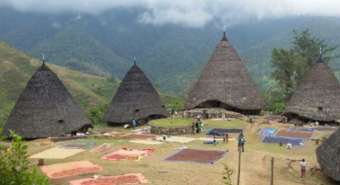 Flores Bajawa Ngura "Komodo Dragon" - for you darker roast & Bali Blue Moon fans