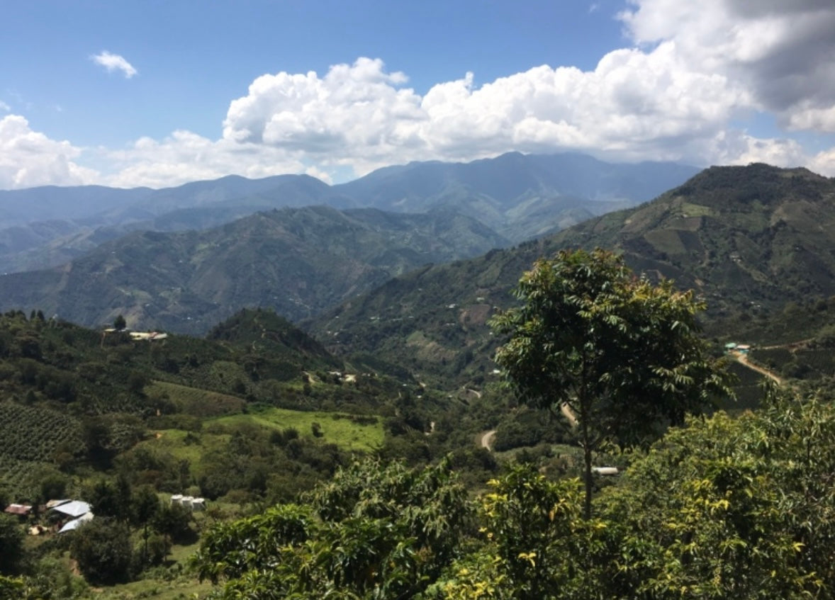 Colombia Loma Verde