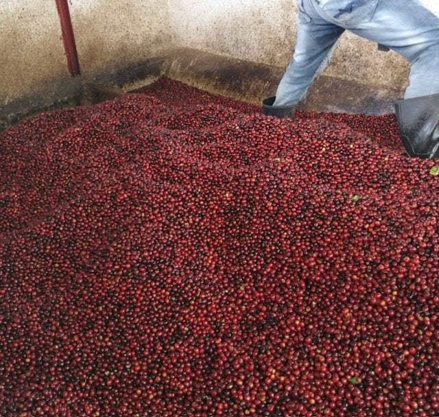 Guatemala Huehuetenango