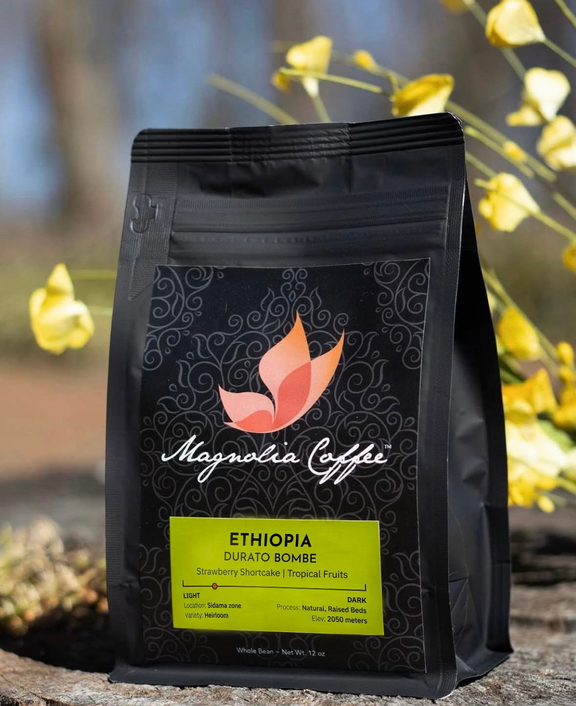 Ethiopia Durato Bombe Natural