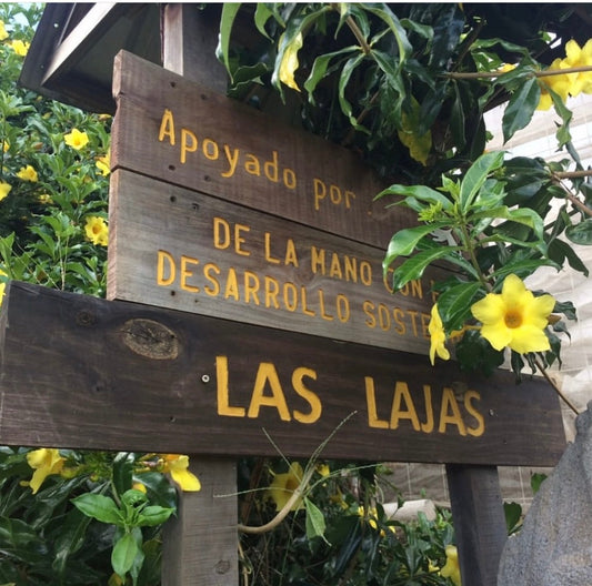 Costa Rica Las Lajas 94+points 2 pack
